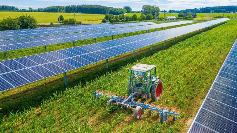 Impianto agrivoltaico con coltivazione